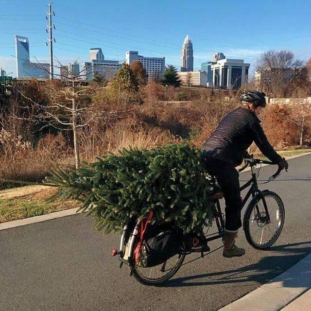 bicycle accident, bike crash, bicycle accident attorney, bicycle accident lawyer, Charlotte, NC, North Carolina, Christmas tree, bike