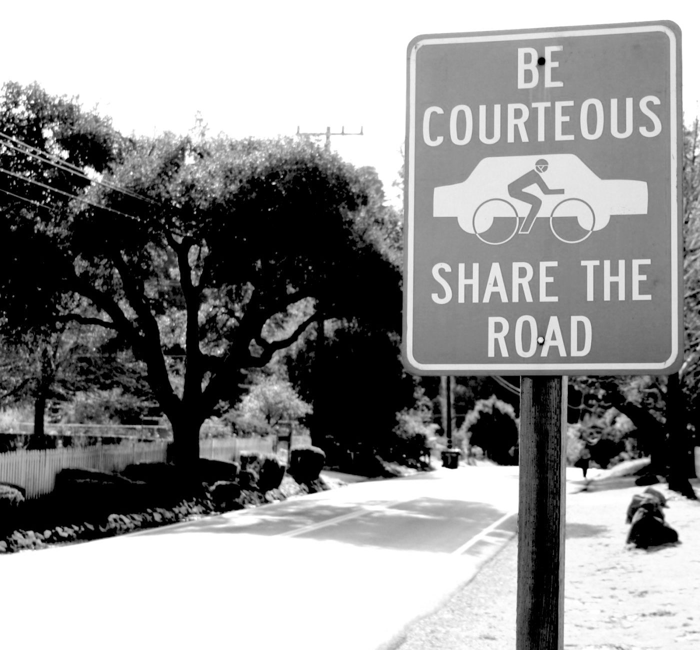 Share the Road Sign