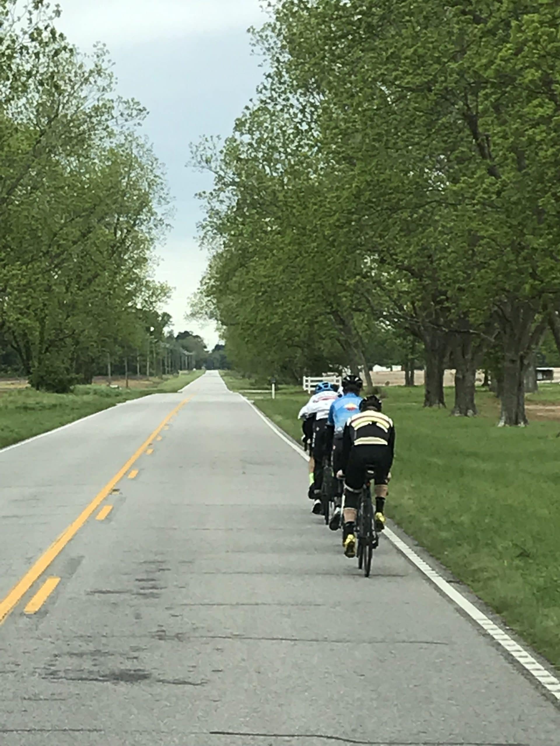 Bike Law peloton